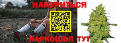 гашик Ипатово