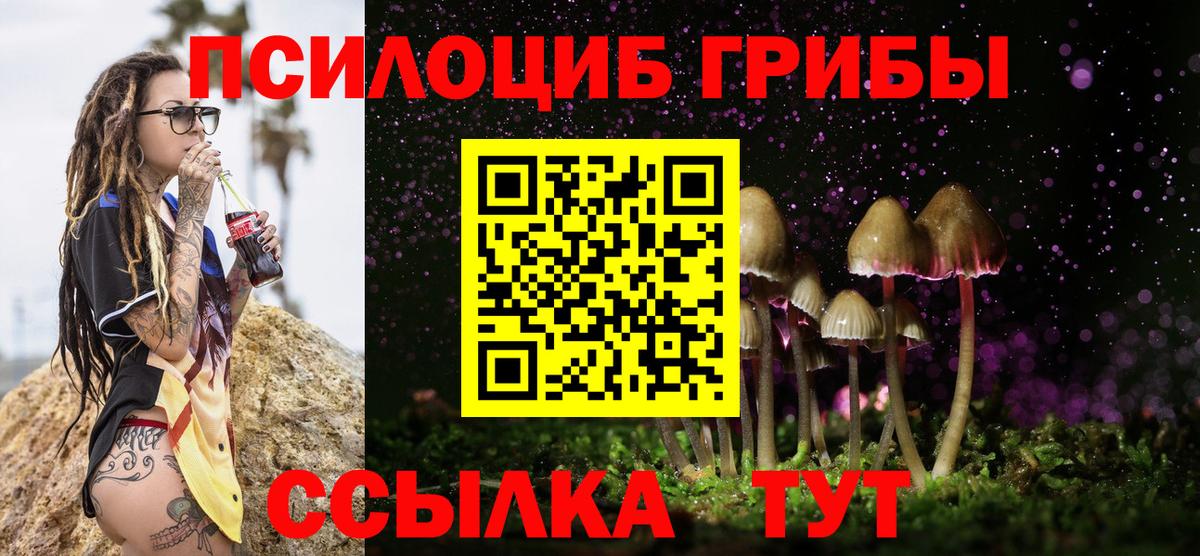 купить   Псилоцибиновые грибы GOLDEN TEACHER  Вход с VPN  Кисловодск 