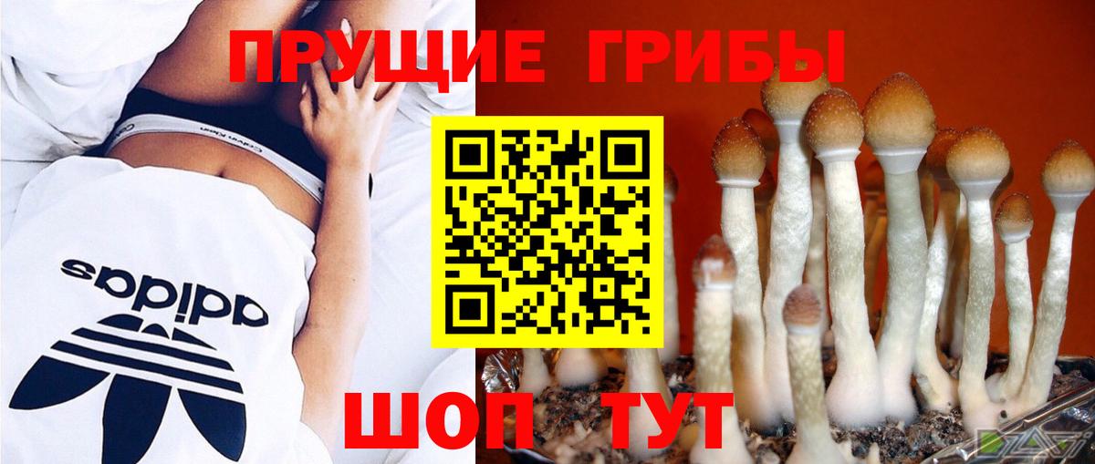 Псилоцибиновые грибы Magic Shrooms Кисловодск